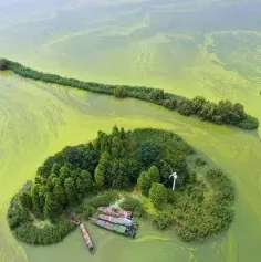 深入推进化肥农药减量增效，生态环境部加大入海氮磷污染治理