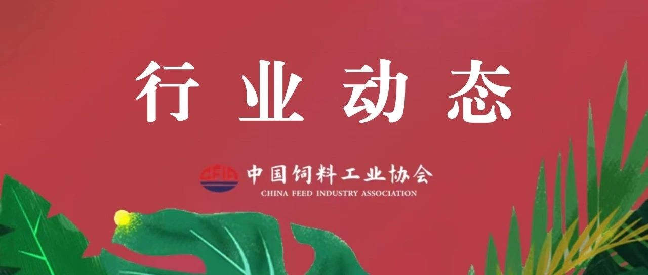 全国性行业协会商会党组织书记培训班在京举办