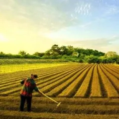 三农日报|政策：发展新型农村集体经济；报告：数字农业还处于早期阶段；冷知识！循环经济型农业模式是个啥；盒马：发力水产预制菜