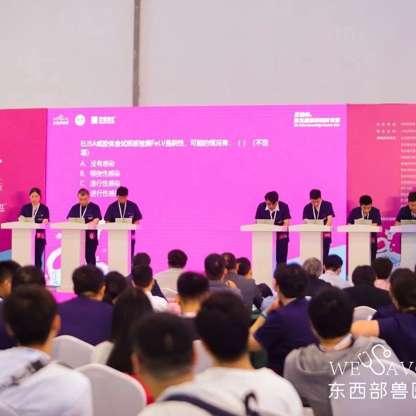 精彩！“汉维杯”第五届猫科知识竞赛决赛成功举办！
