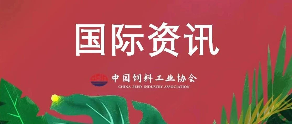 国际资讯| | 2022年全球猪饲料市场发展情况