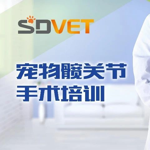 苏州爱世德宠物髋关节新产品及手术培训介绍