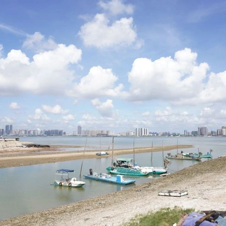 智慧平台助力渔船监管，保障湛江坡头渔业安全！