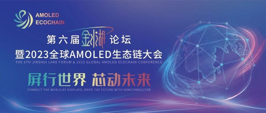 第六届金水湖论坛丨维信诺：AMOLED技术创新进展与挑战