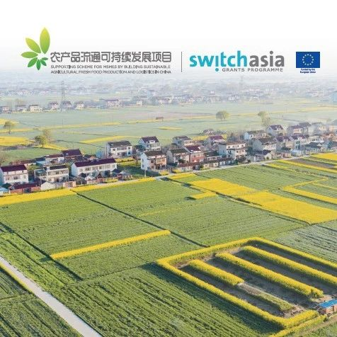 助力乡村振兴，推进果蔬农产品可持续生产与消费——CCFA“农产品流通可持续发展项目”公益培训落地