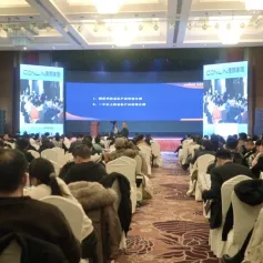 展商动态 | 强团队·重服务·谋创新，2024康林家居品牌战略发布会圆满落幕！