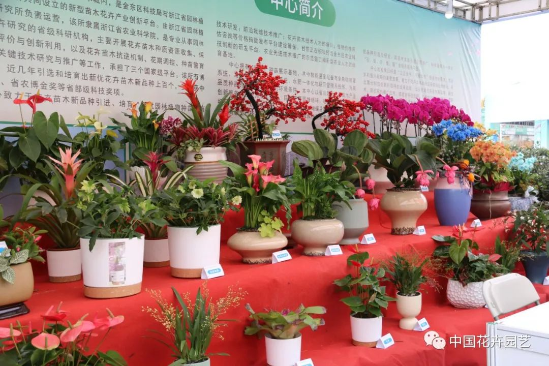 嘉宾参观展区