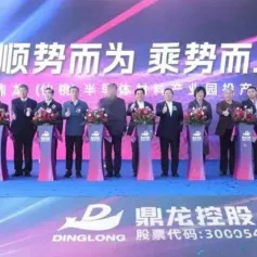 鼎龙（仙桃）半导体材料产业园投产仪式举行