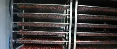 云南：空气能烘干技术助力草果产业提质增效