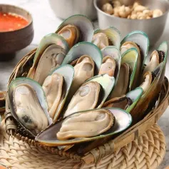 深圳市智倩达农业技术开发有限公司诚邀您参加2024深圳渔博会