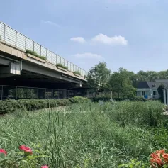 在首个全国生态日上，这家企业展示了哪些生态修复成果