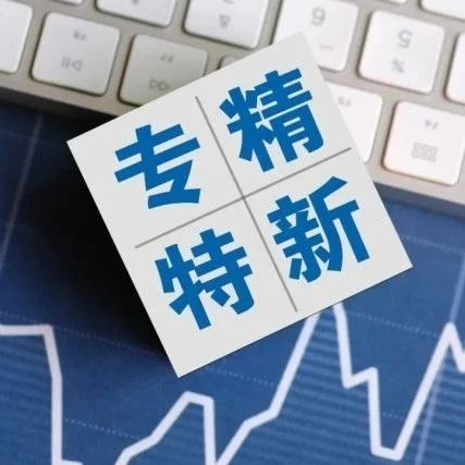 专精特新企业的标准化现状与发展路径