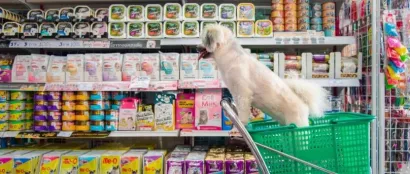 2025年，中国宠物食品行业的产值能否达到330亿美元？