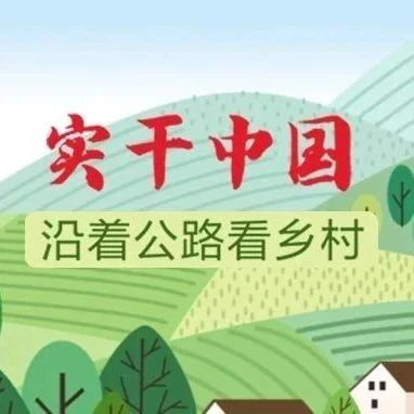 陈家村：山川悠远 “飞鸽”展翅