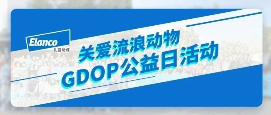 双城联动，礼蓝动保“关爱流浪动物·GDOP公益日活动”圆满成功