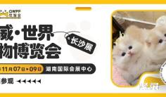 自家猫舍+实体店 | 云森猫舍诚邀您参观世宠会·长沙宠物展