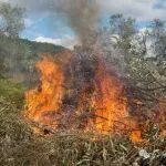 天津统一战线踊跃支援香港火灾救援 展现血浓于水同胞情