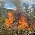 天津统一战线踊跃支援香港火灾救援 展现血浓于水同胞情