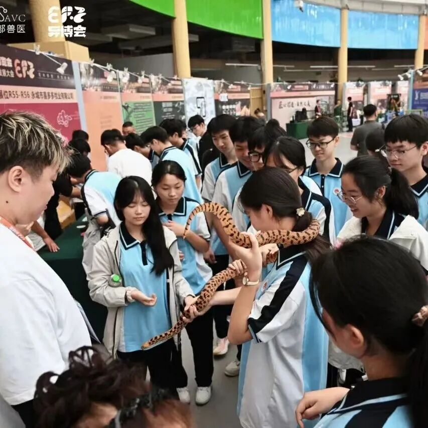 首届沭阳异宠博览会圆满落幕