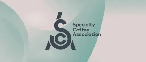 SCA系列课程回归2025HOTELEX深圳展！ 新Q讲师入职讲座上线！