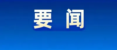 中国共产党第二十届中央委员会第四次全体会议公报