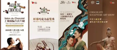 伙伴展|巧克力的萬千風(fēng)華,盡綻于11月SDC上海國際巧克力展!