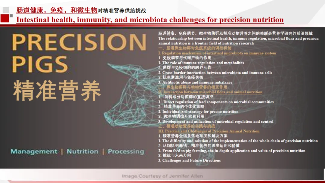 图片 6.png