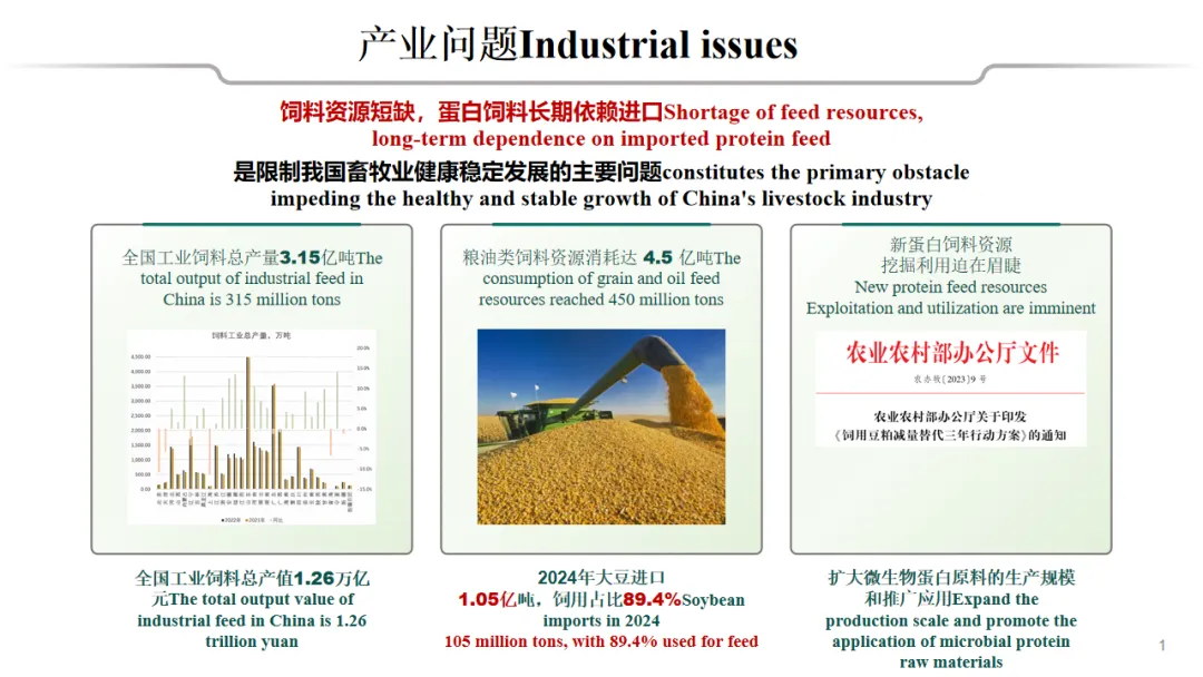 图片 14.png