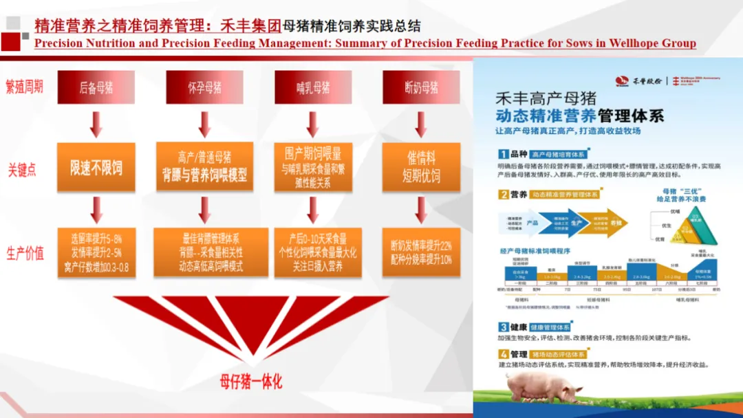 图片 5.png