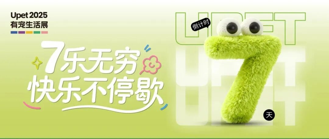 猫展究竟在比什么?品种猫和普通猫咪有什么不同?