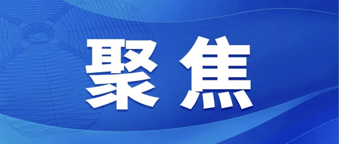 全力确保常办常新、越办越好！上海市委书记陈吉宁、上海市市长龚正检查第八届进博会服务保障和办展办会工作