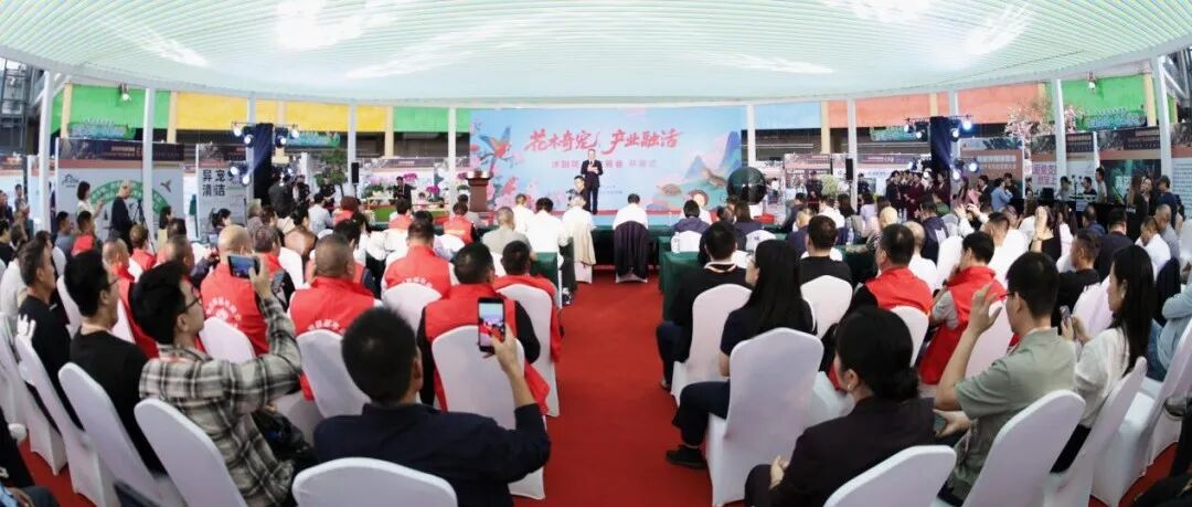 华东首届异宠博览会暨首届异宠产业生态发展大会盛大开幕,沭阳吹响打造“中国异宠之乡”号角