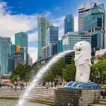 东南亚买家组织丨新加坡专业买家汇聚10.31-11.2中国高品质美酒出口展暨第35届中国(广州)国际名酒展览会